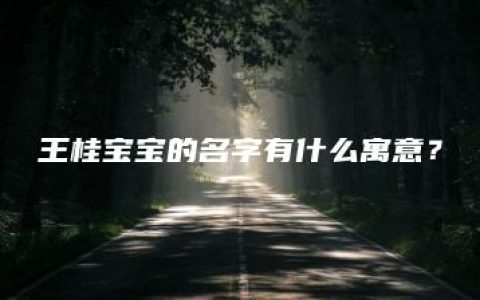 王桂宝宝的名字有什么寓意？