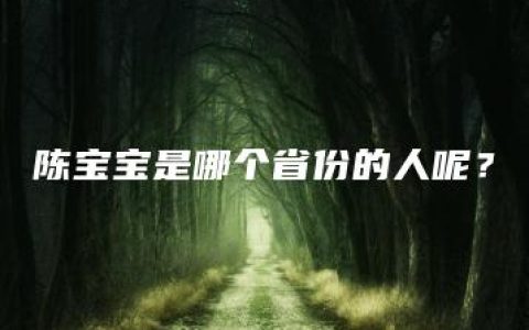 陈宝宝是哪个省份的人呢？