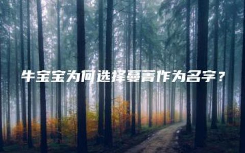 牛宝宝为何选择蔓菁作为名字？