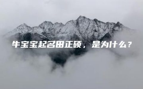 牛宝宝起名田正硕，是为什么？