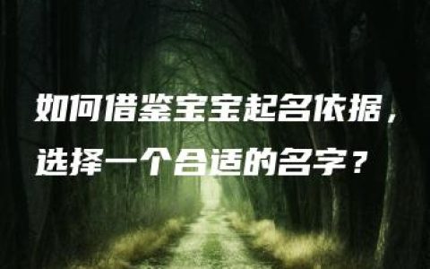 如何借鉴宝宝起名依据，选择一个合适的名字？