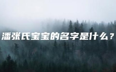 潘张氏宝宝的名字是什么？