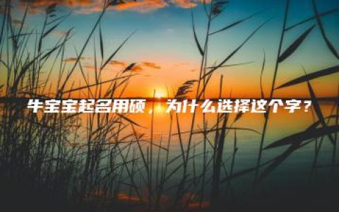 牛宝宝起名用硕，为什么选择这个字？