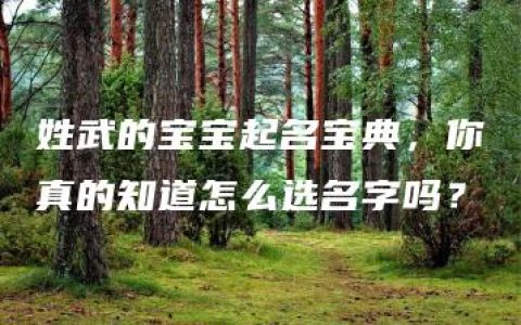 姓武的宝宝起名宝典，你真的知道怎么选名字吗？