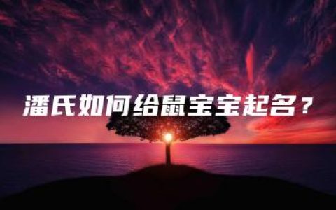 潘氏如何给鼠宝宝起名？