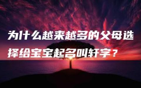 为什么越来越多的父母选择给宝宝起名叫轩字？