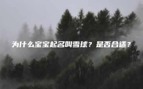 为什么宝宝起名叫雪球？是否合适？