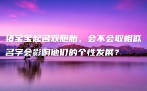 猪宝宝起名双胞胎，会不会取相似名字会影响他们的个性发展？