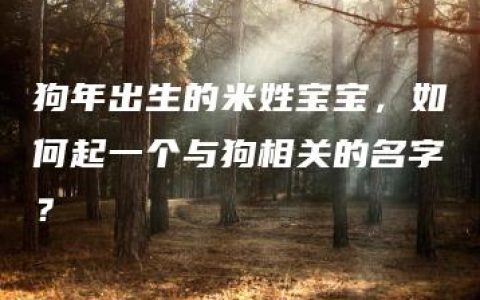 狗年出生的米姓宝宝，如何起一个与狗相关的名字？