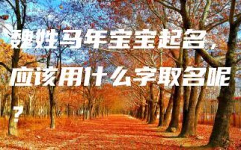 魏姓马年宝宝起名，应该用什么字取名呢？