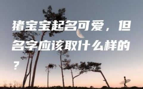 猪宝宝起名可爱，但名字应该取什么样的？