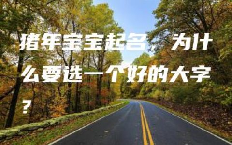 猪年宝宝起名，为什么要选一个好的大字？