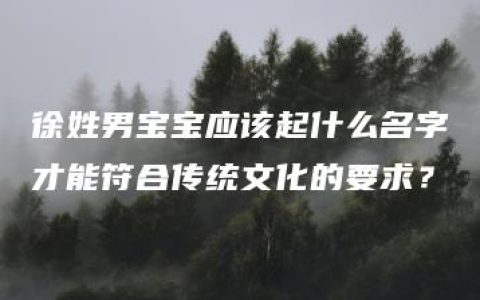 徐姓男宝宝应该起什么名字才能符合传统文化的要求？