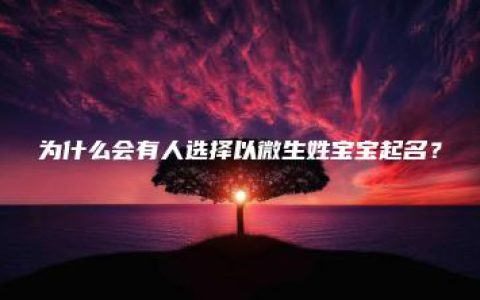 为什么会有人选择以微生姓宝宝起名？