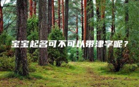 宝宝起名可不可以带津字呢？