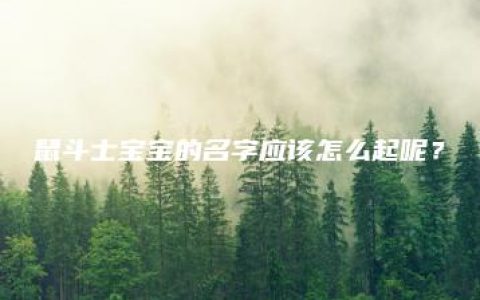 鼠斗士宝宝的名字应该怎么起呢？