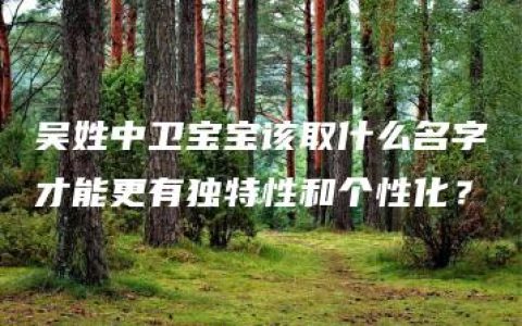 吴姓中卫宝宝该取什么名字才能更有独特性和个性化？