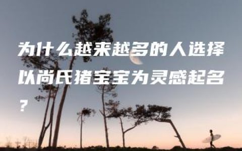 为什么越来越多的人选择以尚氏猪宝宝为灵感起名？