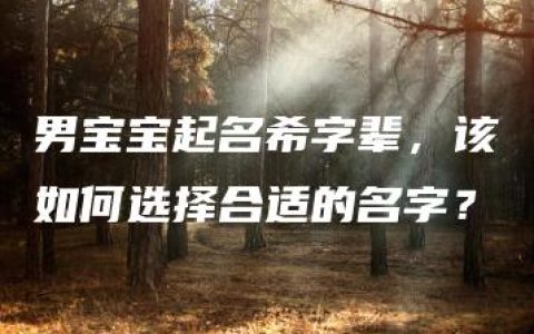 男宝宝起名希字辈，该如何选择合适的名字？