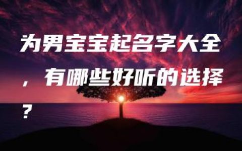 为男宝宝起名字大全，有哪些好听的选择？