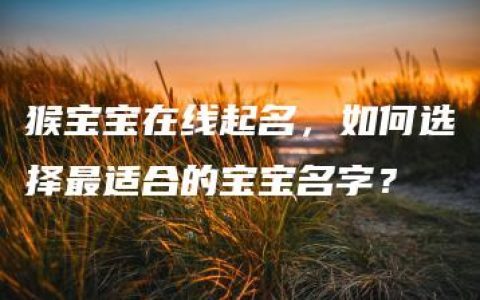 猴宝宝在线起名，如何选择最适合的宝宝名字？