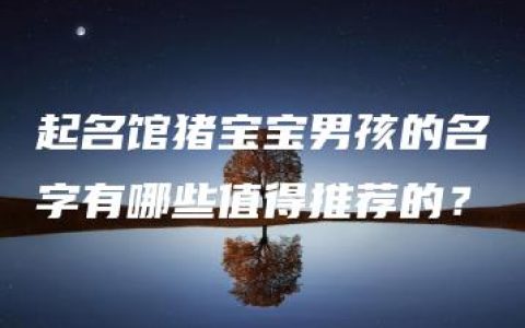 起名馆猪宝宝男孩的名字有哪些值得推荐的？