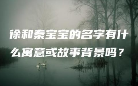 徐和秦宝宝的名字有什么寓意或故事背景吗？