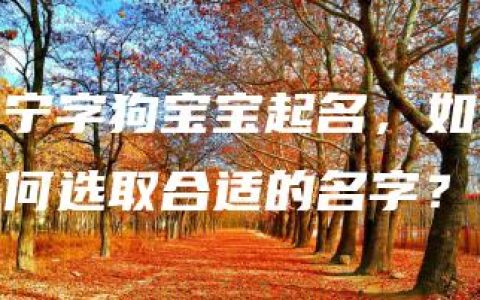 宁字狗宝宝起名，如何选取合适的名字？