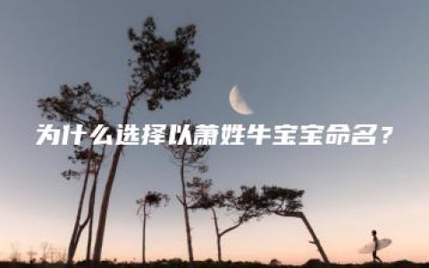 为什么选择以萧姓牛宝宝命名？