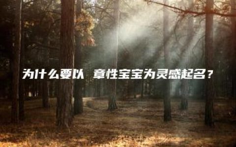 为什么要以 章性宝宝为灵感起名？