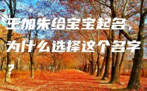 王加朱给宝宝起名，为什么选择这个名字？