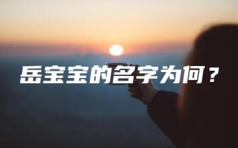 岳宝宝的名字为何？