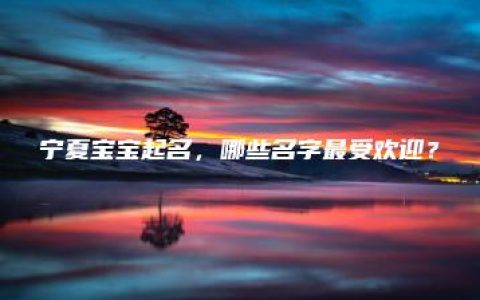 宁夏宝宝起名，哪些名字最受欢迎？