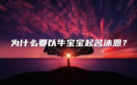 为什么要以牛宝宝起名沐恩？