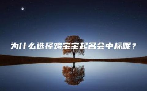 为什么选择鸡宝宝起名会中标呢？