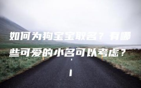 如何为狗宝宝取名？有哪些可爱的小名可以考虑？