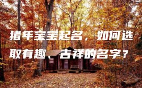 猪年宝宝起名，如何选取有趣、吉祥的名字？