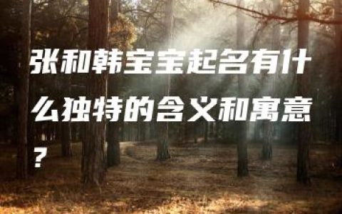 张和韩宝宝起名有什么独特的含义和寓意？