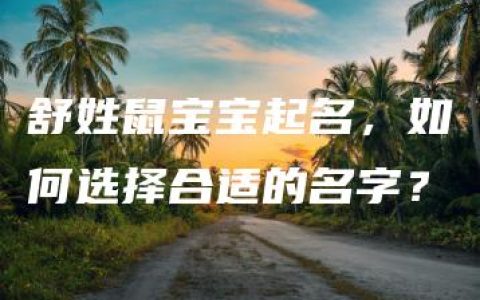 舒姓鼠宝宝起名，如何选择合适的名字？