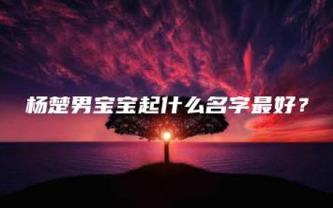 杨楚男宝宝起什么名字最好？