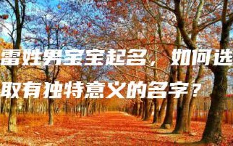 雷姓男宝宝起名，如何选取有独特意义的名字？