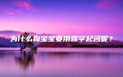 为什么狗宝宝要用霖字起名呢？