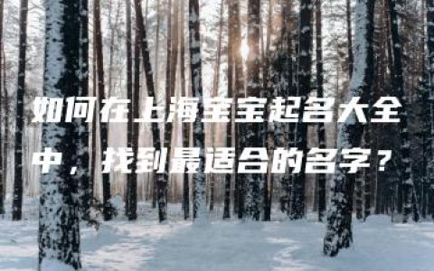 如何在上海宝宝起名大全中，找到最适合的名字？