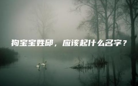 狗宝宝姓邱，应该起什么名字？