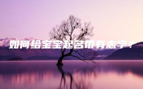 如何给宝宝起名带有志字？