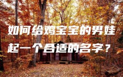 如何给鸡宝宝的男娃起一个合适的名字？