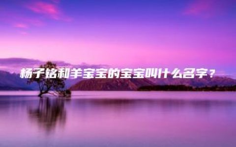 杨子铭和羊宝宝的宝宝叫什么名字？