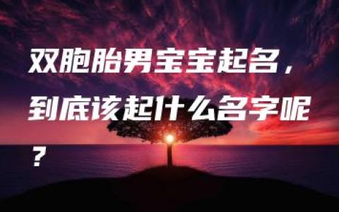 双胞胎男宝宝起名，到底该起什么名字呢？