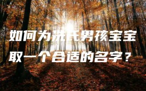 如何为冼氏男孩宝宝取一个合适的名字？