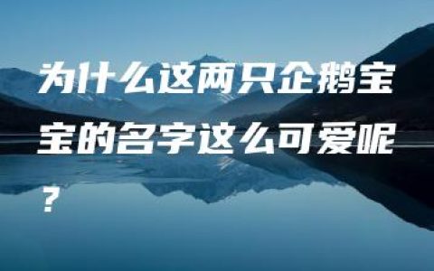 为什么这两只企鹅宝宝的名字这么可爱呢？